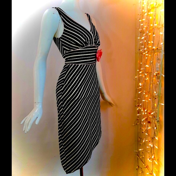 Windsor LastTango InParis PinkTrim&Flower B&W ArtDeco Diagonal Stripe DanceDress - Picture 1 of 9